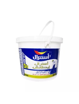 ASTRAL ETANCHE 20KG