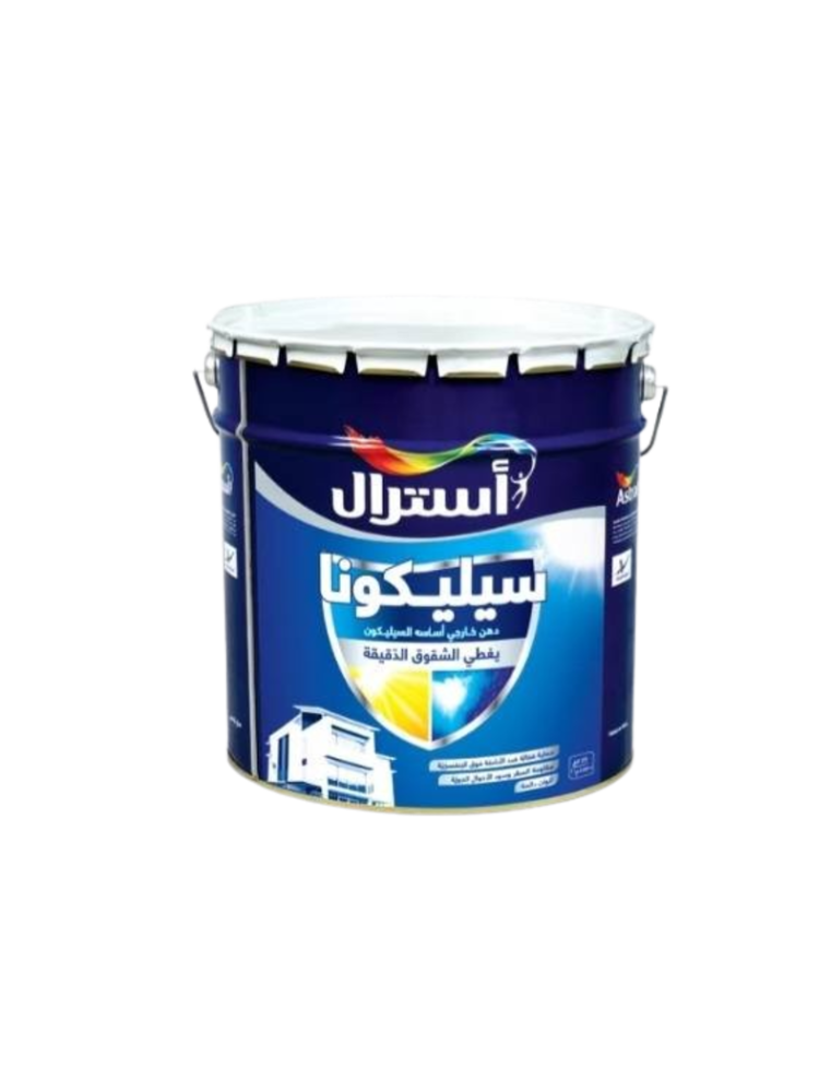 SILICONA MAT PLS 23KG ASTRAL