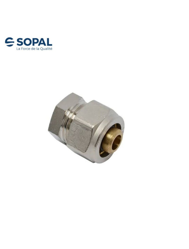 RACCORD A VISSER PEX 26X1" F SOPAL