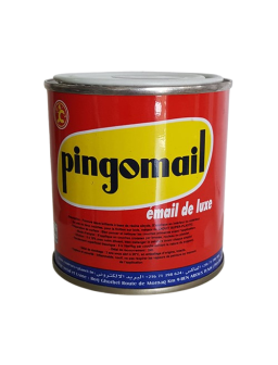 PINGOMAIL 0.100KG DIFF COULEUR