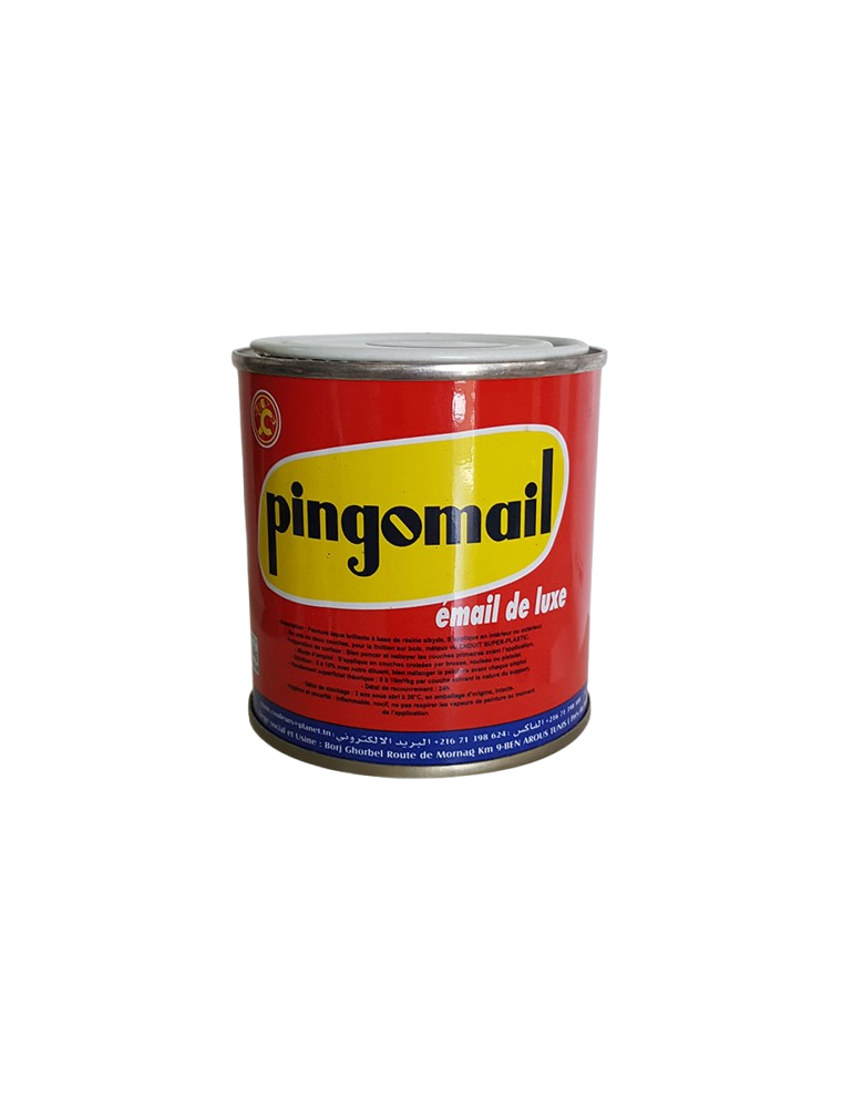 PINGOMAIL 0.100KG DIFF COULEUR